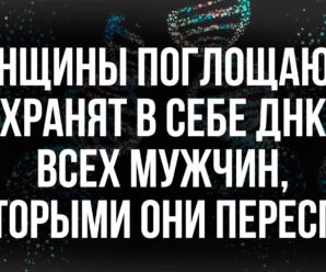 Женщины поглощают и хранят в себе ДНК всех мужчин, с которыми они переспали