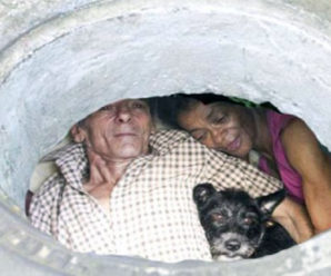 Семейная пара живёт в канализации 22 года. Вы не представляете, как выглядит их дом изнутри