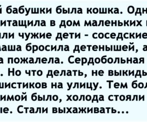 Наша кошка подобрала брошенных котят и принесла домой, а потом…