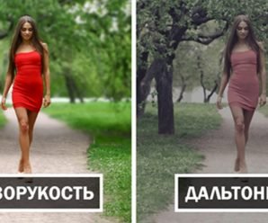 Kак человек видит окружающий мир в разных состояниях (15 фото)