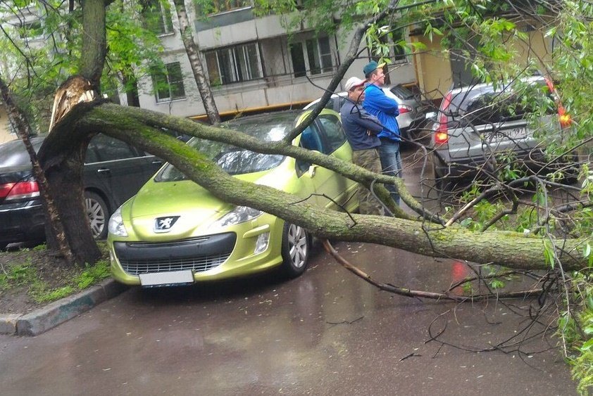 Какой повезло. Картинки повезло так повезло. Нереальное везение. Везение в жизни ситуации фото. Приколы и невероятное везение.