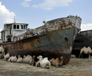 «Пустыня кораблей-призраков» рассказывает о необъяснимом исчезновении Аральского моря.