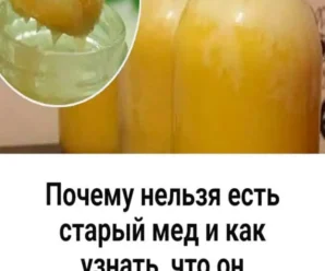 🐝 Почему нельзя есть старый мёд и как понять, что он испортился?