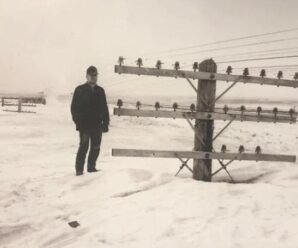 Великий снежный шторм 1966 года: Северная Дакота под снежным покрывалом